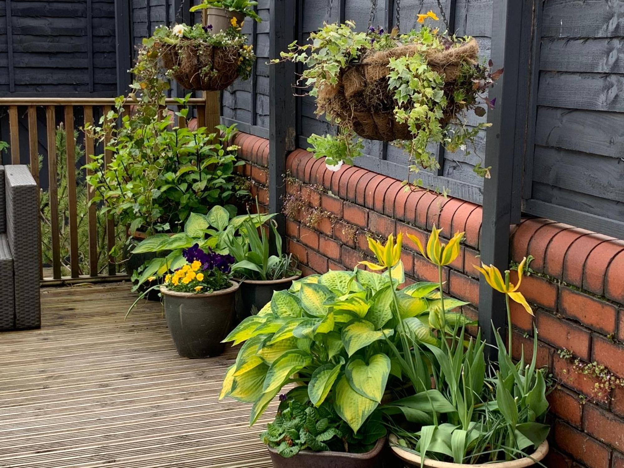 Retro Metro Apartment With Glorious Sunny Garden Cardiff Exterior foto