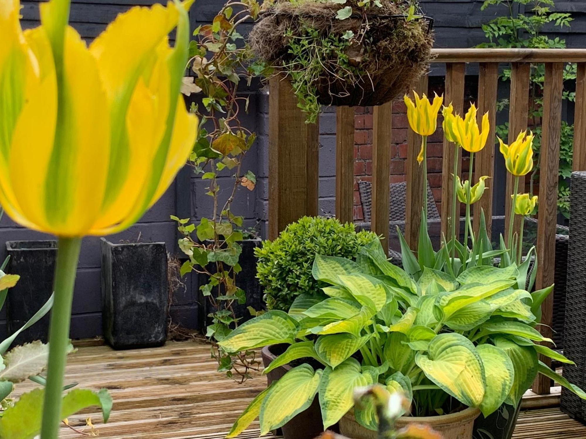 Retro Metro Apartment With Glorious Sunny Garden Cardiff Exterior foto