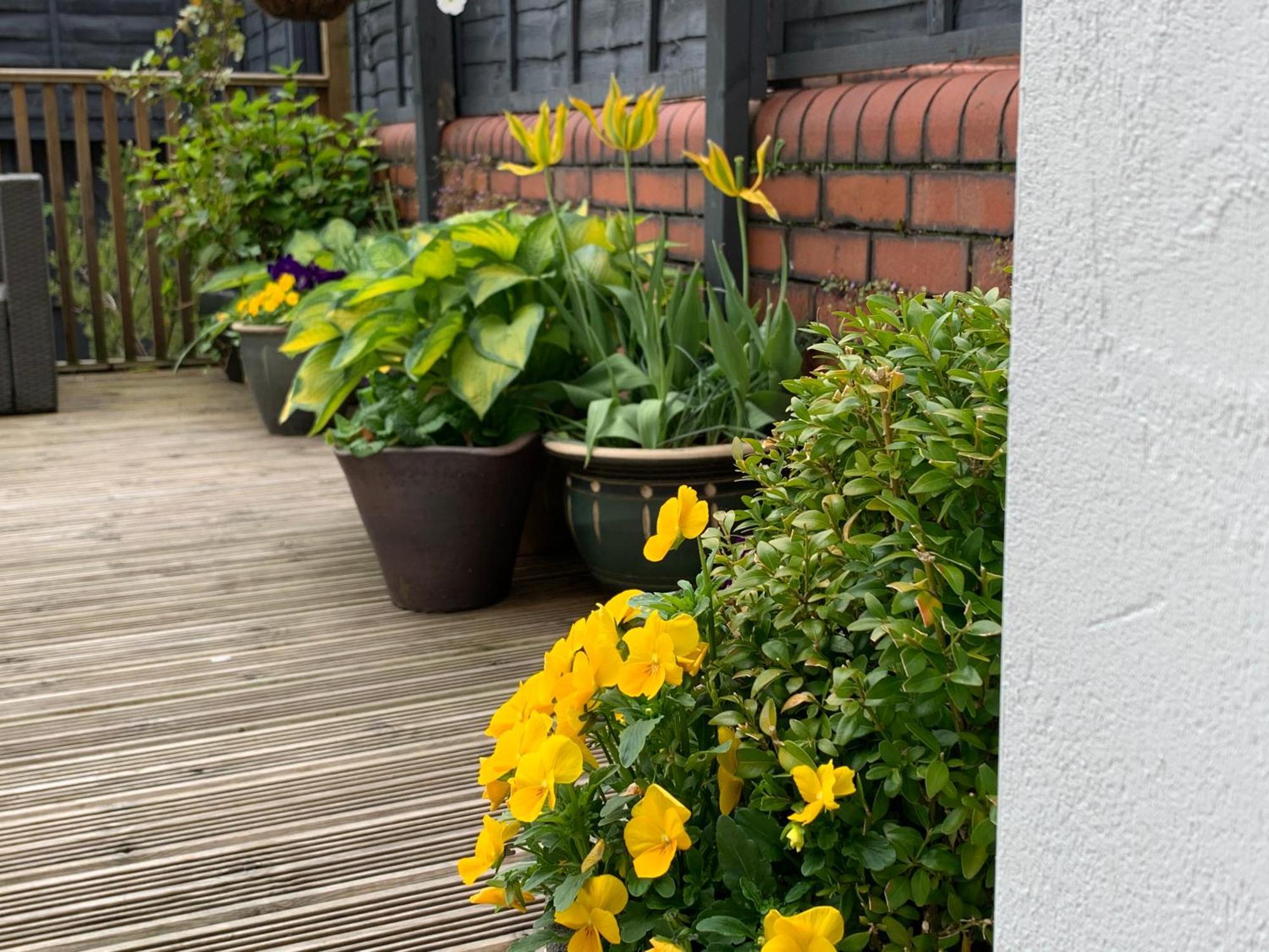 Retro Metro Apartment With Glorious Sunny Garden Cardiff Exterior foto