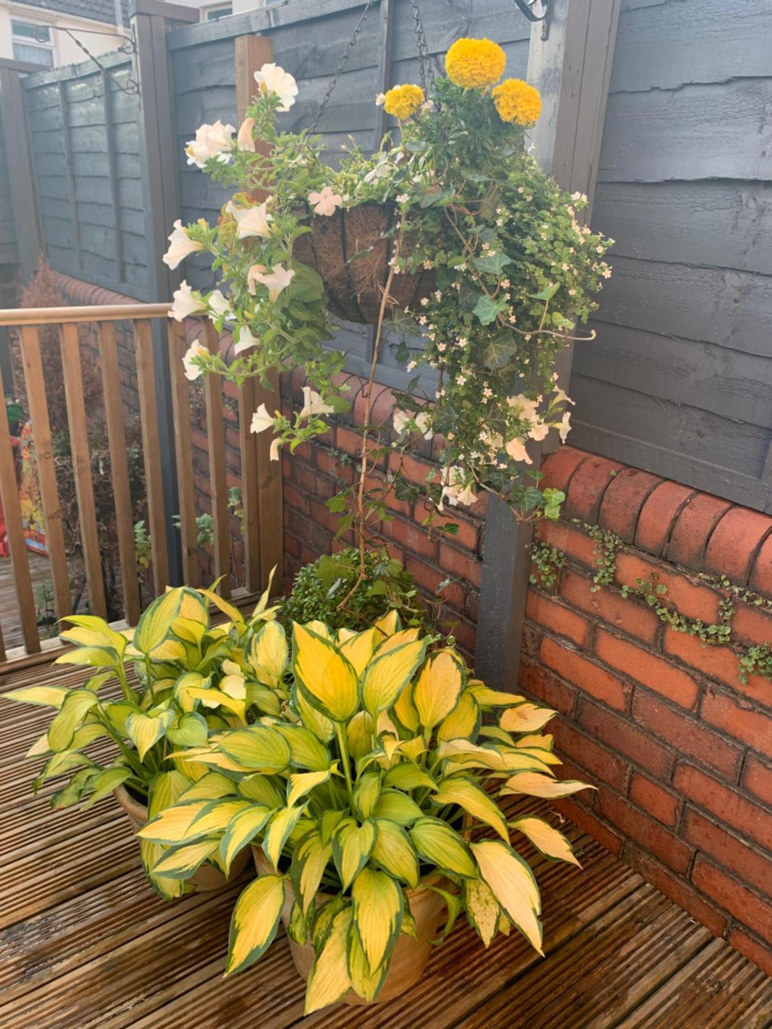 Retro Metro Apartment With Glorious Sunny Garden Cardiff Exterior foto